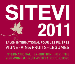 SITEVI 2011:    -  -