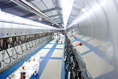 DeLaval EnDurance -    