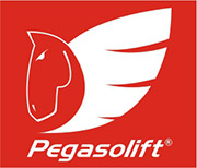 Pegaso S.r.l., 