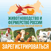 Животноводство и фермерство России 2022