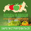 Плоды и овощи России 2022
