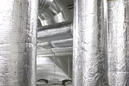   �������� Walki Group ������� ����� ���� ������ � ������ 