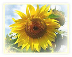  ����� ���������������� ������������� ������ � ������� 