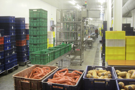  ������������������ ����������� �������� ��� �������� �������������