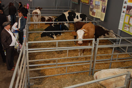  ������������� ���������������� ����� ������λ 