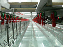  ������������ ��� ����������� 