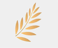  V ������������� ��������� �������� ������ ���������� ������ 