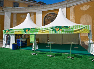 ������ ���� � ��������� � ������ �������� ������