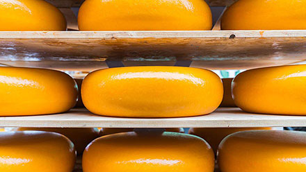 Tetra Pak ������������ 14 ��������� ��������������� ����� ��� �������������� ����