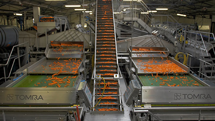  �������� Ardo ������������� ���������������� �������� � ������� ���������� ������������� ����� Sentinel II 