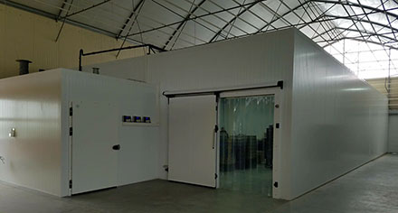 ������������ �����������