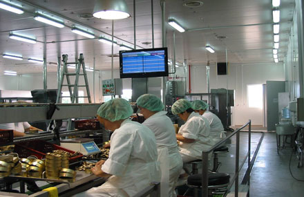 Система оперативного учета выпуска  консервной продукции на участке укладки шпрот