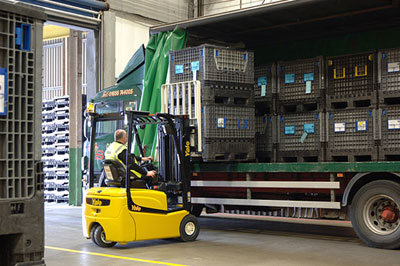 Yale ERP18VT - ����������������