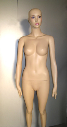 C-3 - ������� �������