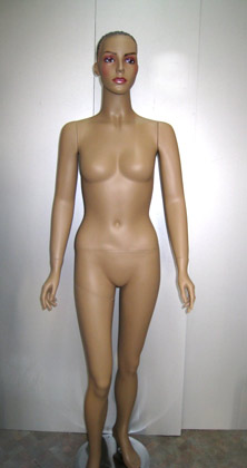 SN-11 - ������� �������