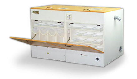 �������-����� - ��������� ��� ����������� � ������ �������, ����� � �����