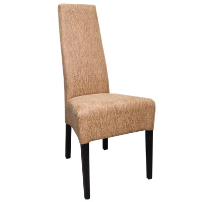 ���� - ���� ����������