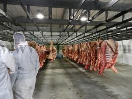 ���������� ���������� �������������