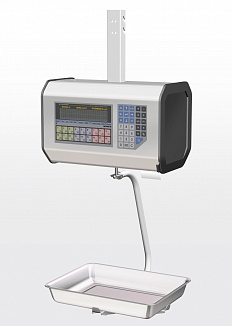 �����-����� �� - ���� �������� � ������� ��������