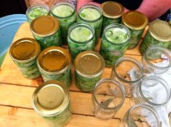 ����� ������������ ���������������� ������� �������