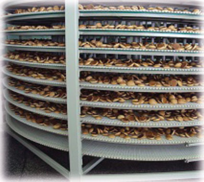 Спиральный конвейер для охлаждения хлебобулочных изделий