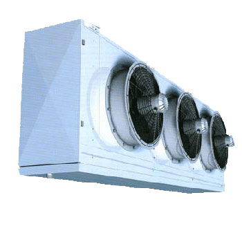 Searle SM243_88_A5 - �����������������