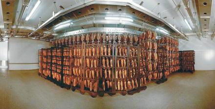 Schaller FML - ����������� ���������� � �������� 