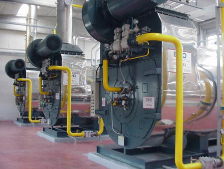 Bono SM/SG Steam Matic - ����� ����������� (����������)