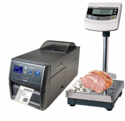 �������� �����-������� - ������ ���������� �������� ����������� � ������ ��������