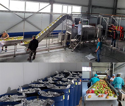 ����� ������������ ��������� � ������� ����